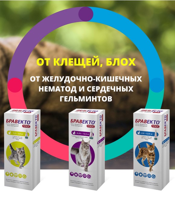 Бравекто капли для кошек и собак