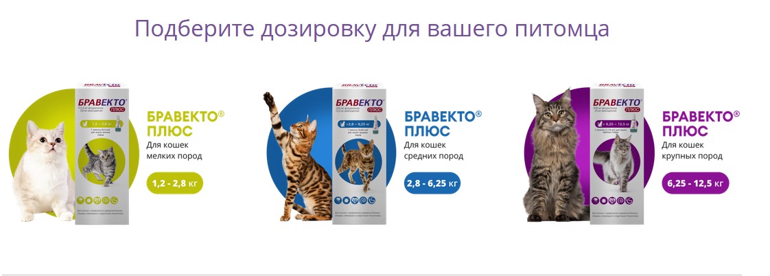 капли Бравекто подбор дозировки